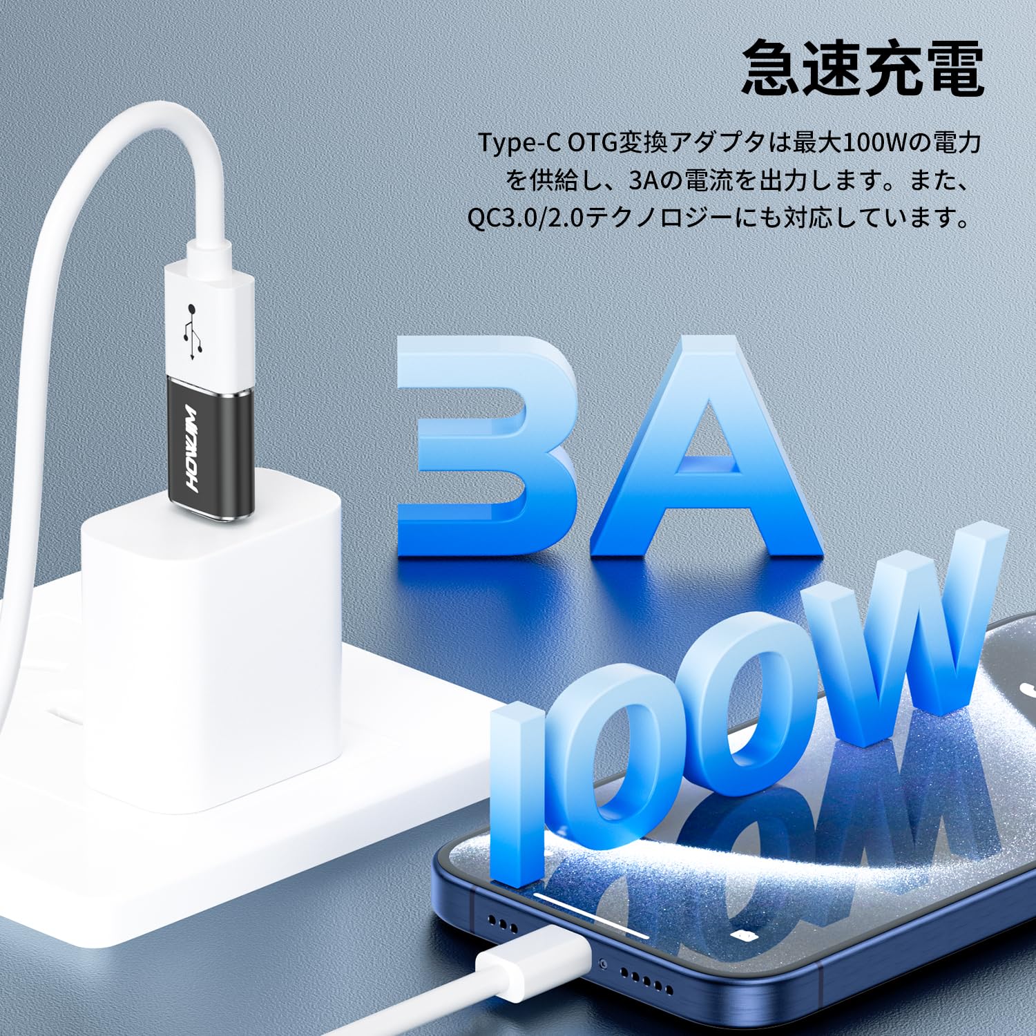 Amazon.co.jp: HOWJIM USB Type-C 変換アダプタ100W 急速充電